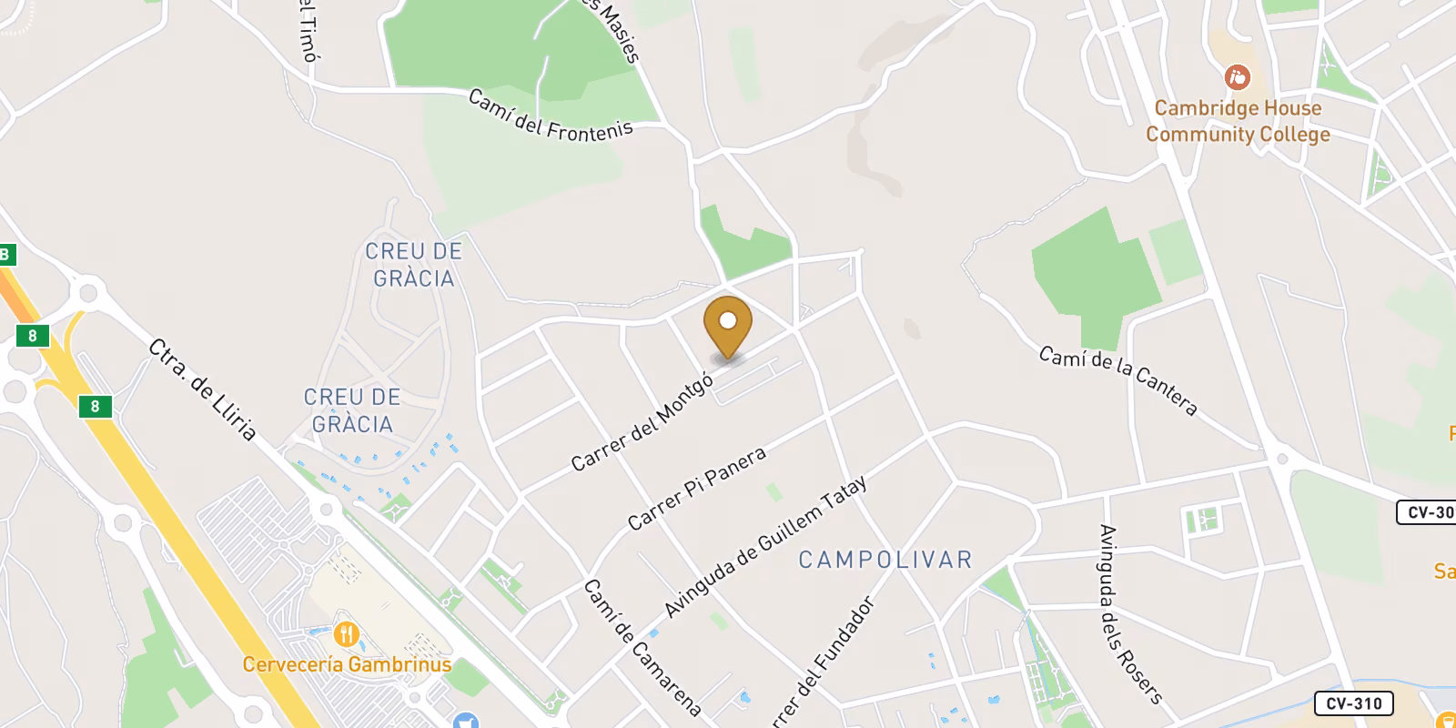 Map — Campolivar ground-floor apartments in Godella