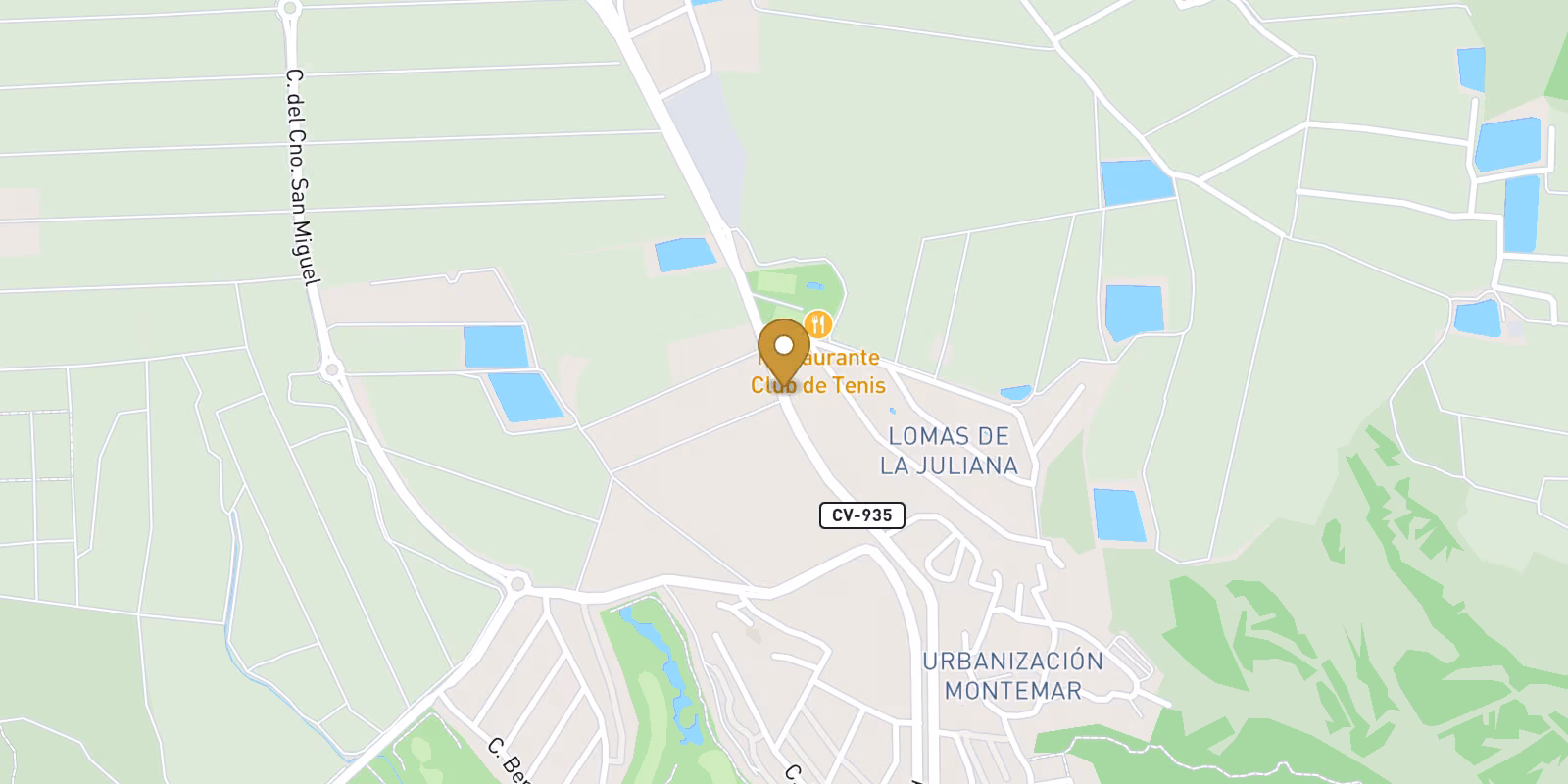 Map — Private 4-bed villa in Lomas de la Juliana, Algorfa