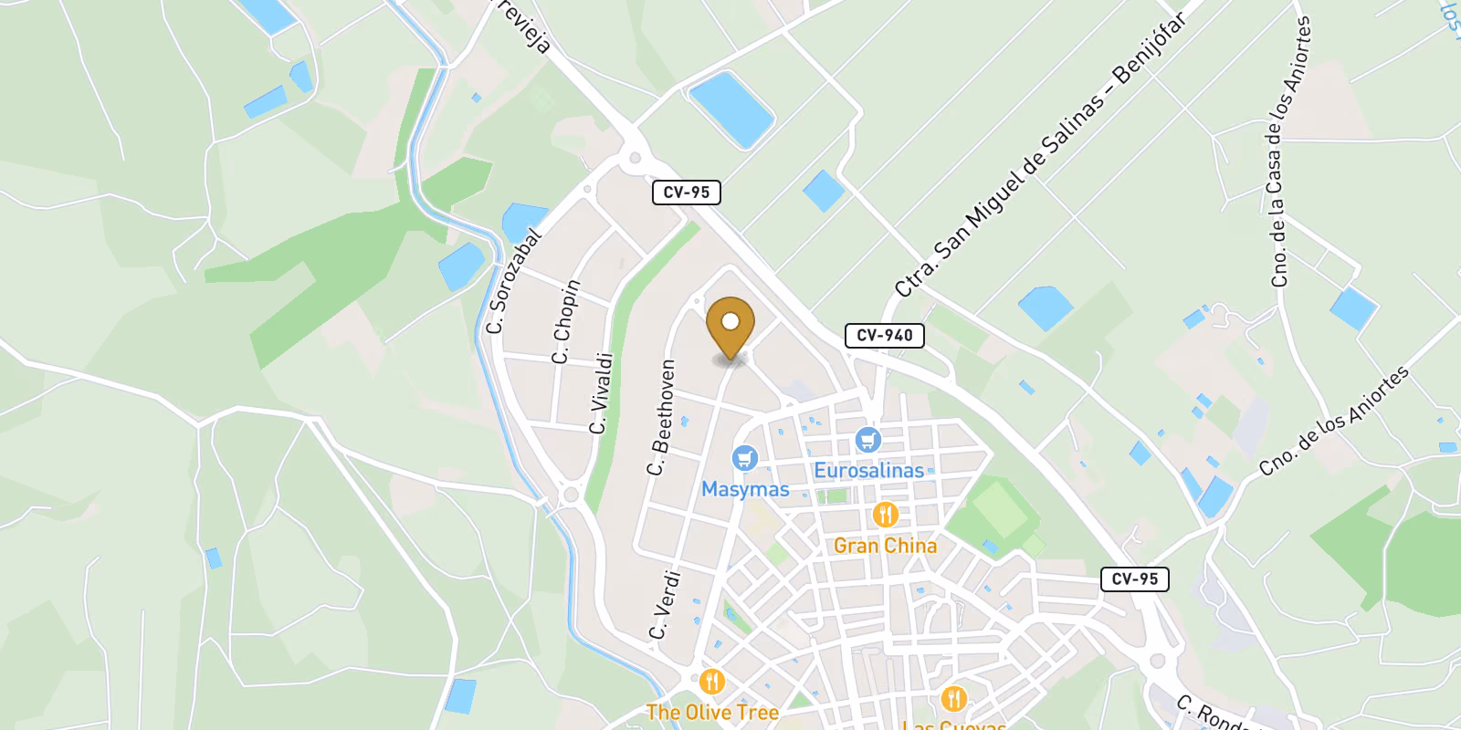 Map — New Residential Development in San Miguel de Salinas