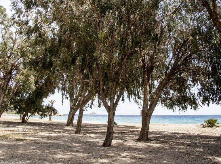 Apartamento en Residencial a 50M de la Playa