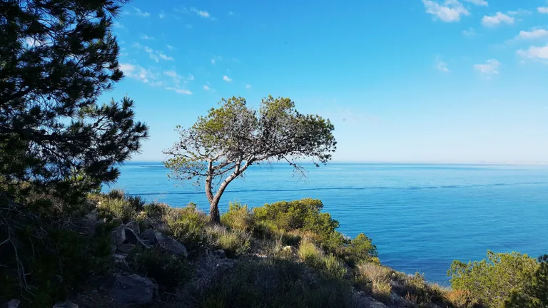 Apartamento en Residencial a 50M de la Playa