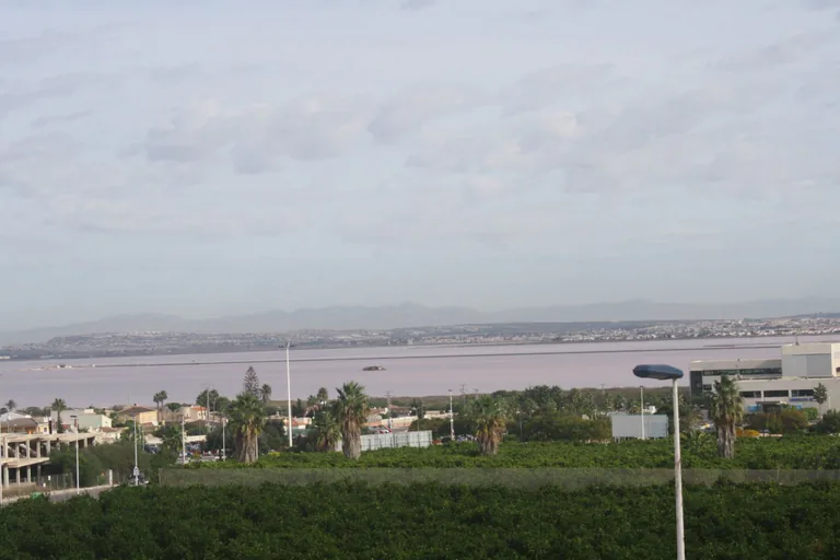 Precioso Adosado en los Altos, Torrevieja