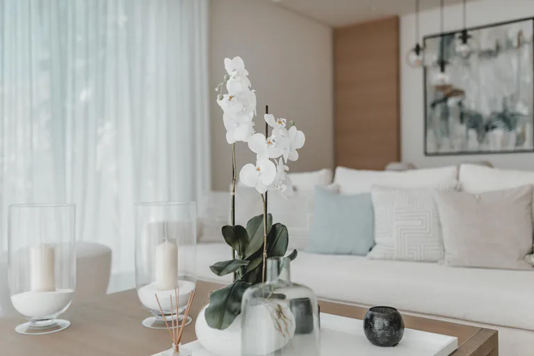 Apartamento en planta baja NV-100384 — foto 7