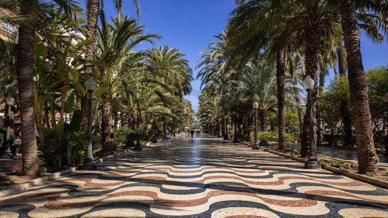 Apartamentos de Obra Nueva en Alicante Ciudad