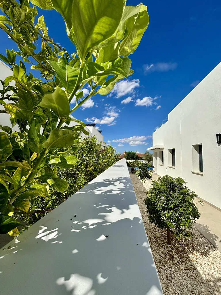 Villas de nueva construcción en Benijófar