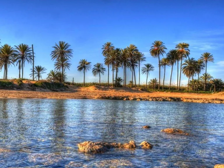 Modernos Apartamentos Cerca de la Playa del Cura en Torrevieja