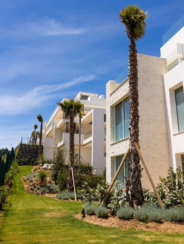 New-build Planta Baja in Ojen
