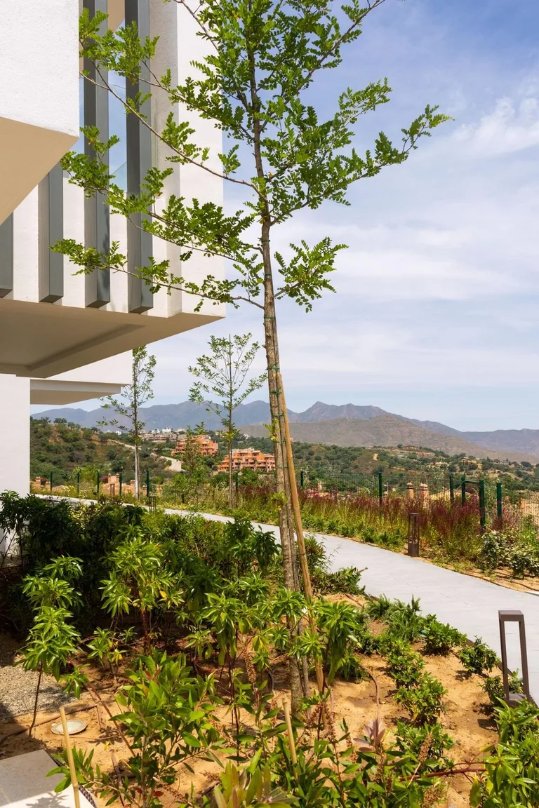 New-build Planta Baja in Ojen